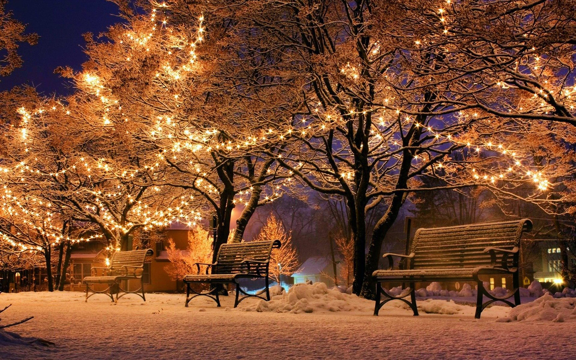 Bank im Schnee mit Lichtern in den Bäumen, Weihnachten