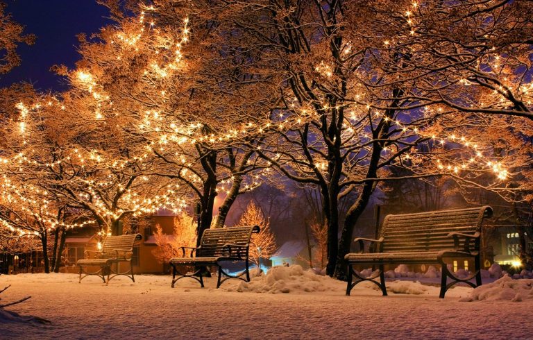 Bank im Schnee mit Lichtern in den Bäumen, Weihnachten